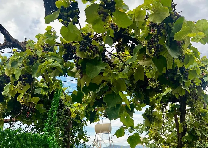 빌라 K Bougainville Albania